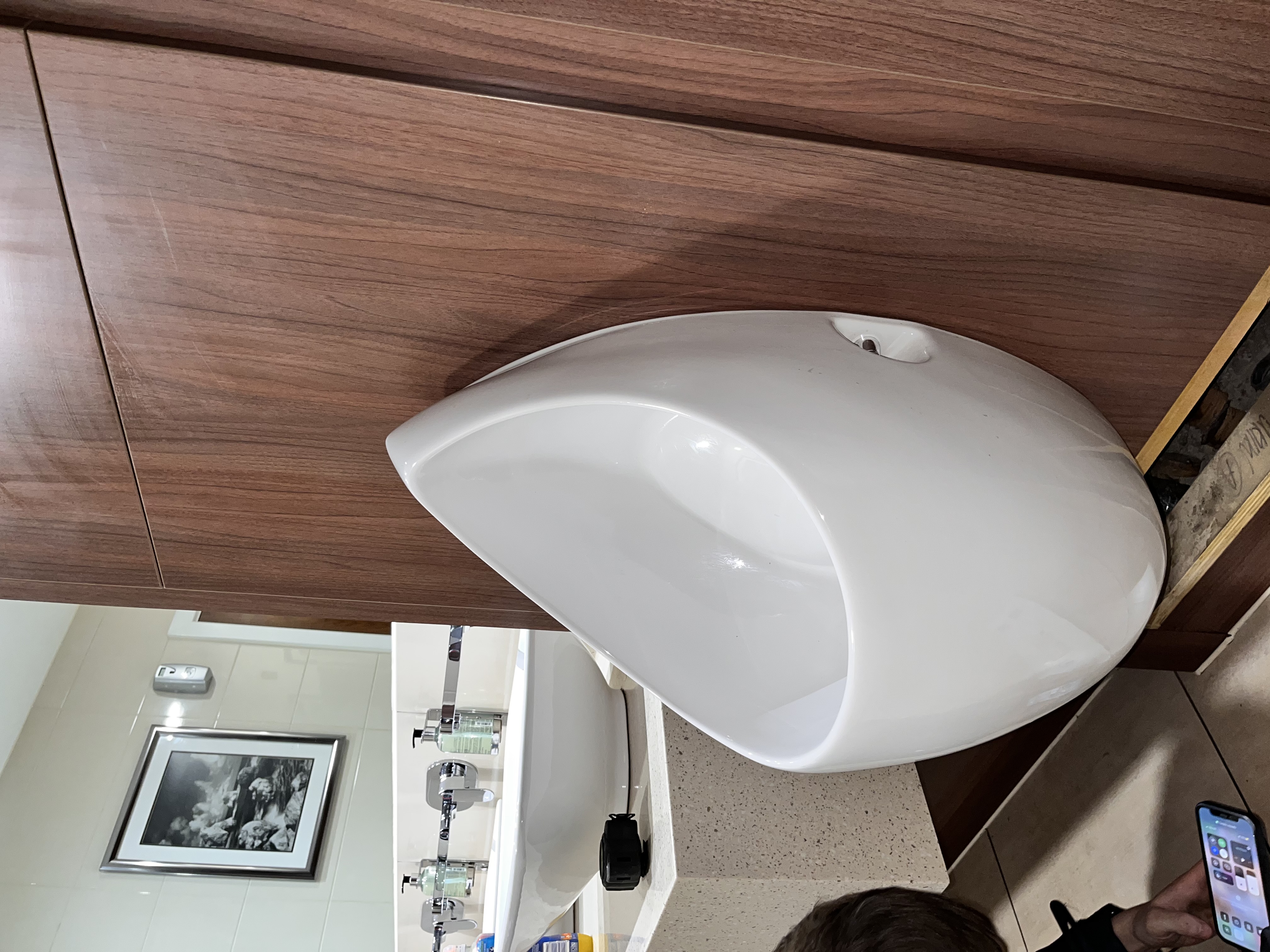 Modern bathroom basin installation and plumbing work by Pomona Eco Solutions